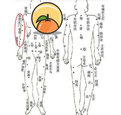 左手小臂有痣|痣的位置透露出這些訊息！上手臂有痣不乏追求者、手。